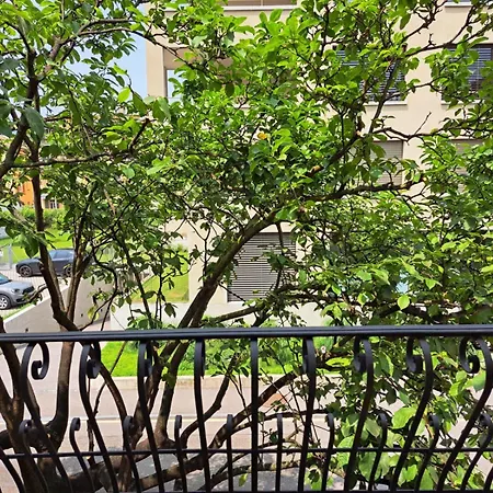 Sestante By Quokka 360 - A Garden In The Town Centre *